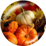 20MM  Thanksgiving   Print   glass  snaps buttons