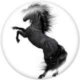 20MM  Horse  Print   glass  snaps buttons