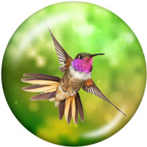 20MM  Hummingbird  Butterfly  Print   glass  snaps buttons