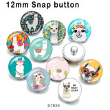 10pcs/lot  Alpaca  glass picture printing products of various sizes  Fridge magnet cabochon