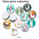 10pcs/lot  Alpaca  glass picture printing products of various sizes  Fridge magnet cabochon