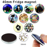 10pcs/lot Cat  glass picture printing products of various sizes  Fridge magnet cabochon