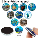 10pcs/lot  Ocean sea turtle  glass picture printing products of various sizes  Fridge magnet cabochon