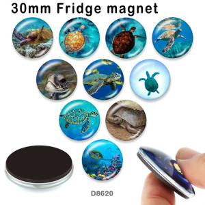 10pcs/lot  Ocean sea turtle  glass picture printing products of various sizes  Fridge magnet cabochon