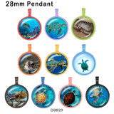 10pcs/lot  Ocean sea turtle  glass picture printing products of various sizes  Fridge magnet cabochon