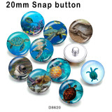 10pcs/lot  Ocean sea turtle  glass picture printing products of various sizes  Fridge magnet cabochon