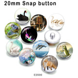 10pcs/lot  Cat  White Swan  glass picture printing products of various sizes  Fridge magnet cabochon