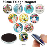 10pcs/lot  Horse  glass picture printing products of various sizes  Fridge magnet cabochon