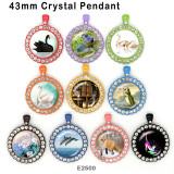10pcs/lot  Cat  White Swan  glass picture printing products of various sizes  Fridge magnet cabochon
