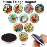 10pcs/lot  Hummingbird  bird  glass picture printing products of various sizes  Fridge magnet cabochon