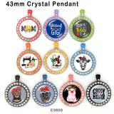 10pcs/lot MOM  Cat  Dog  glass picture printing products of various sizes  Fridge magnet cabochon