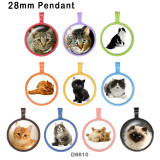 10pcs/lot  Cat  glass picture printing products of various sizes  Fridge magnet cabochon