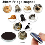 10pcs/lot  Cat  glass picture printing products of various sizes  Fridge magnet cabochon