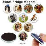 10pcs/lot  Dog  glass picture printing products of various sizes  Fridge magnet cabochon