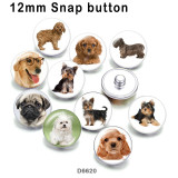 10pcs/lot  Dog  glass picture printing products of various sizes  Fridge magnet cabochon