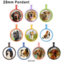 10pcs/lot  Dog  glass picture printing products of various sizes  Fridge magnet cabochon