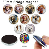 10pcs/lot  Dog  glass picture printing products of various sizes  Fridge magnet cabochon
