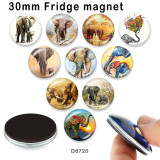 10pcs/lot  Elephant  glass picture printing products of various sizes  Fridge magnet cabochon