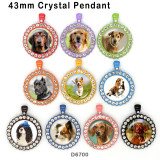 10pcs/lot  Dog  glass picture printing products of various sizes  Fridge magnet cabochon