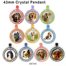10pcs/lot  Dog  glass picture printing products of various sizes  Fridge magnet cabochon