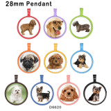 10pcs/lot  Dog  glass picture printing products of various sizes  Fridge magnet cabochon