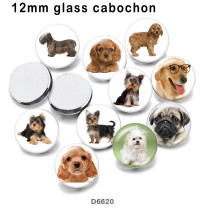 10pcs/lot  Dog  glass picture printing products of various sizes  Fridge magnet cabochon