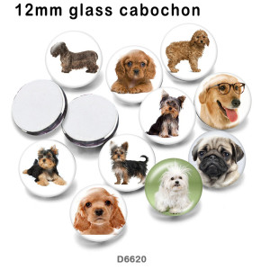 10pcs/lot  Dog  glass picture printing products of various sizes  Fridge magnet cabochon