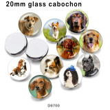 10pcs/lot  Dog  glass picture printing products of various sizes  Fridge magnet cabochon