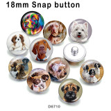 10pcs/lot  Dog  glass picture printing products of various sizes  Fridge magnet cabochon