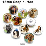 10pcs/lot  Dog  glass picture printing products of various sizes  Fridge magnet cabochon