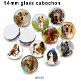 10pcs/lot  Dog  glass picture printing products of various sizes  Fridge magnet cabochon