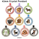 10pcs/lot  Dog  glass picture printing products of various sizes  Fridge magnet cabochon