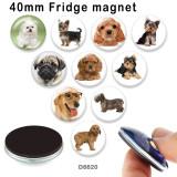 10pcs/lot  Dog  glass picture printing products of various sizes  Fridge magnet cabochon