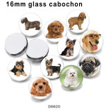 10pcs/lot  Dog  glass picture printing products of various sizes  Fridge magnet cabochon