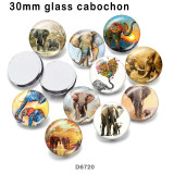 10pcs/lot  Elephant  glass picture printing products of various sizes  Fridge magnet cabochon