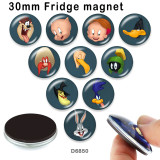 10pcs/lot  Cartoon rabbit  duck  glass picture printing products of various sizes  Fridge magnet cabochon