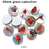10pcs/lot  Cardinal  bird  glass picture printing products of various sizes  Fridge magnet cabochon