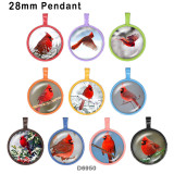 10pcs/lot  Cardinal  bird  glass picture printing products of various sizes  Fridge magnet cabochon
