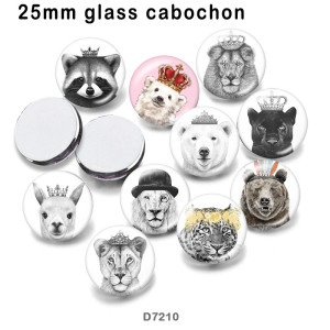 10pcs/lot  Lion  bear glass picture printing products of various sizes  Fridge magnet cabochon