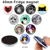 10pcs/lot Cat Flower princess  glass picture printing products of various sizes  Fridge magnet cabochon