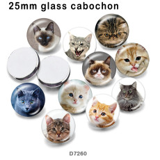 10pcs/lot  Cat  glass picture printing products of various sizes  Fridge magnet cabochon