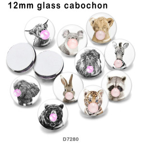 10pcs/lot rabbit Elephant zebra glass picture printing products of various sizes  Fridge magnet cabochon