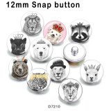 10pcs/lot  Lion  bear glass picture printing products of various sizes  Fridge magnet cabochon