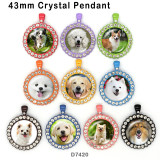 10pcs/lot  Dog  glass picture printing products of various sizes  Fridge magnet cabochon