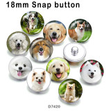 10pcs/lot  Dog  glass picture printing products of various sizes  Fridge magnet cabochon