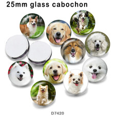 10pcs/lot  Dog  glass picture printing products of various sizes  Fridge magnet cabochon
