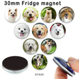 10pcs/lot  Dog  glass picture printing products of various sizes  Fridge magnet cabochon