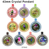 10pcs/lot  Hummingbird  glass picture printing products of various sizes  Fridge magnet cabochon