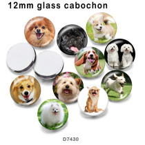 10pcs/lot  Dog  glass picture printing products of various sizes  Fridge magnet cabochon