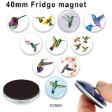 10pcs/lot  Hummingbird  glass picture printing products of various sizes  Fridge magnet cabochon